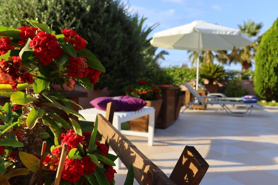 Day, Garden view, sunbed