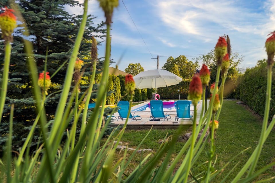 Garden, Garden, Pool view, Swimming pool