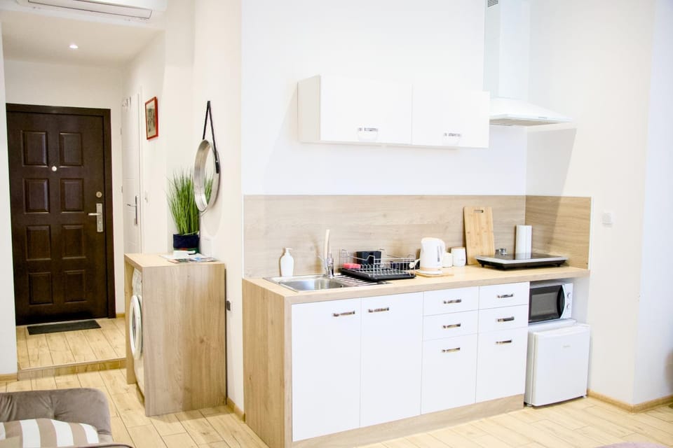 Studio z widokiem na rzekę Apartment in Lviv Oblast