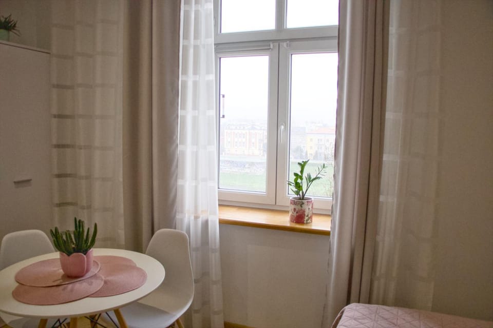 Studio z widokiem na rzekę Apartment in Lviv Oblast
