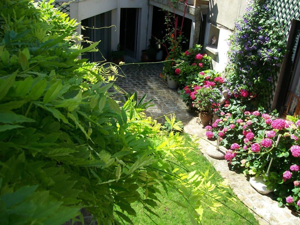 Inner courtyard view