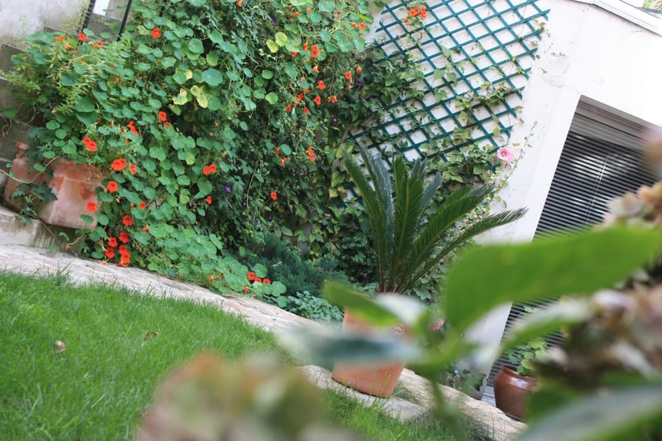 Day, Garden