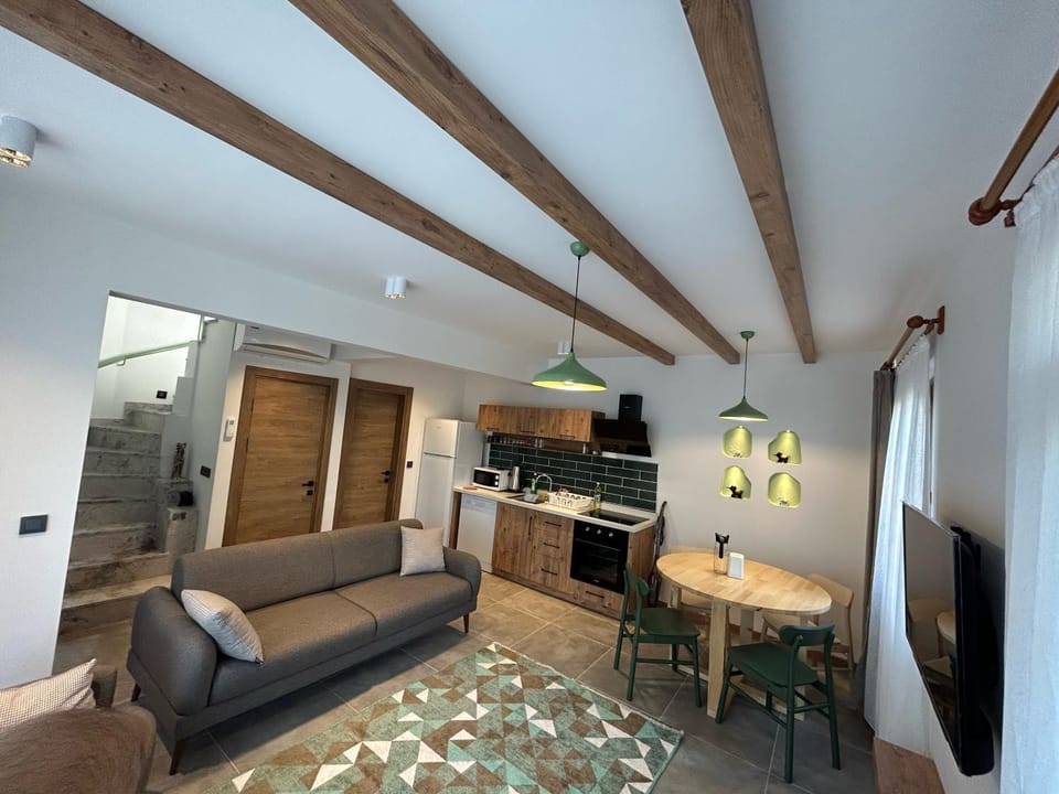 Communal lounge/ TV room, TV and multimedia, Kitchen or kitchenette, Living room, Seating area, Dining area