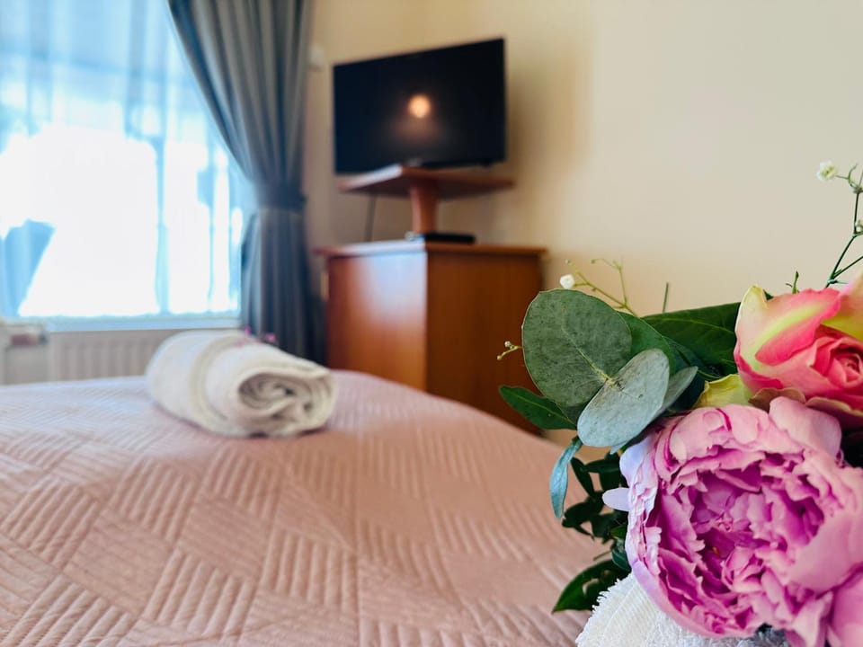 Bed, TV and multimedia, Photo of the whole room