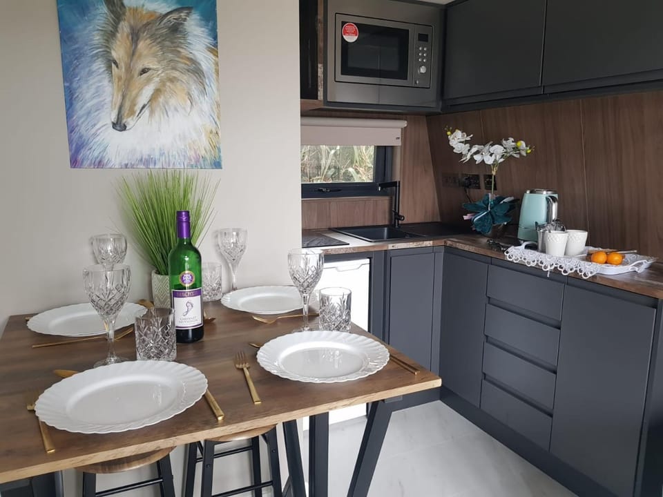 Kitchen or kitchenette, Food and drinks, Dining area, minibar, pet friendly, stove