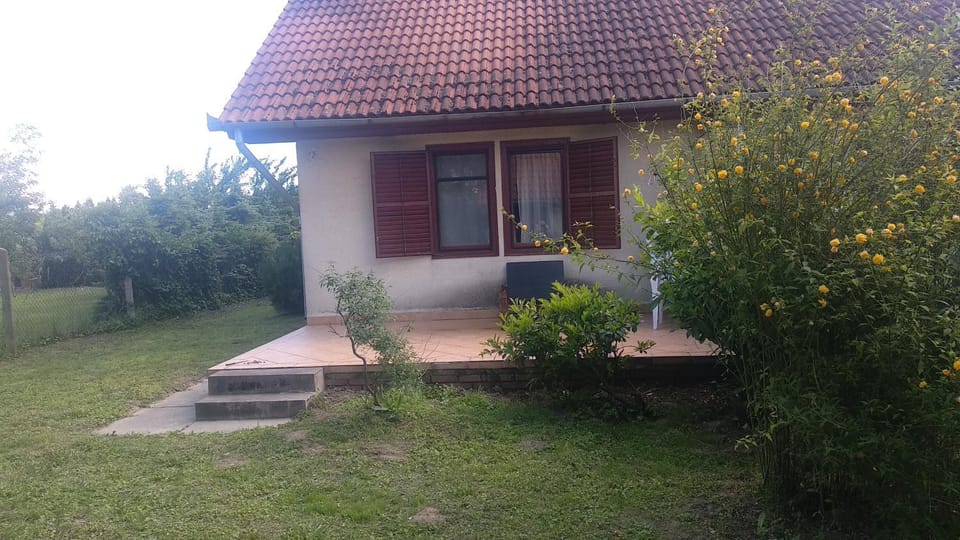 Patio, Garden