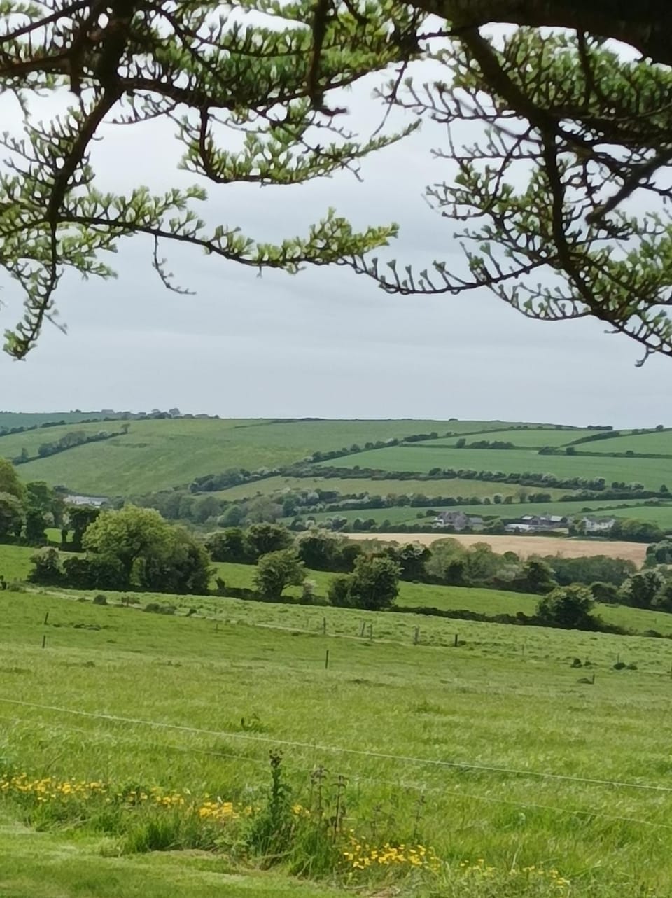 Ard Falcon Apartment in County Cork