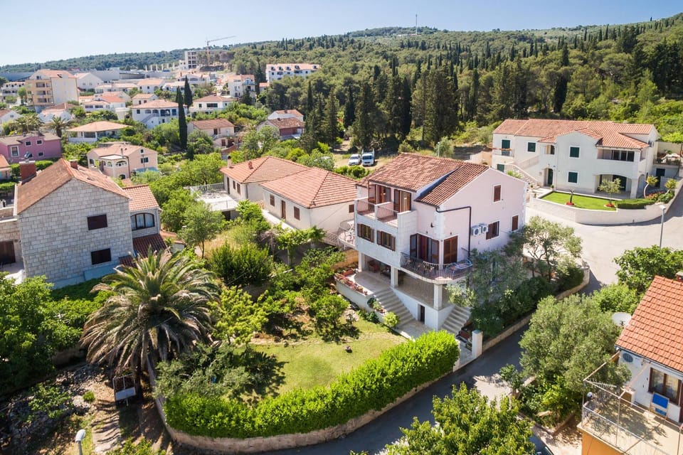 Bird's eye view, Garden view, Street view