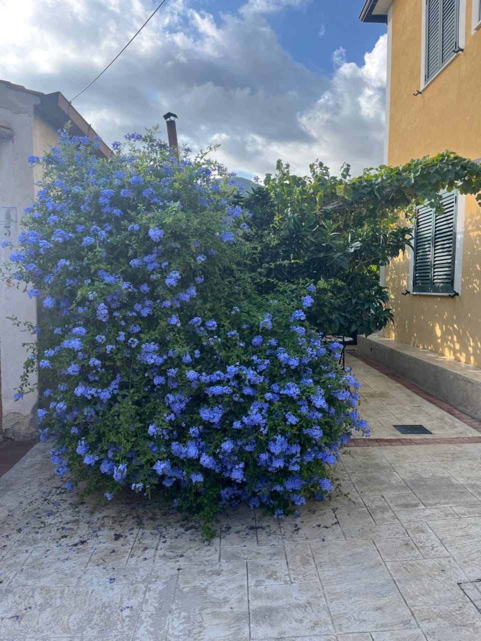 La Strettoia Bed and Breakfast in Campania