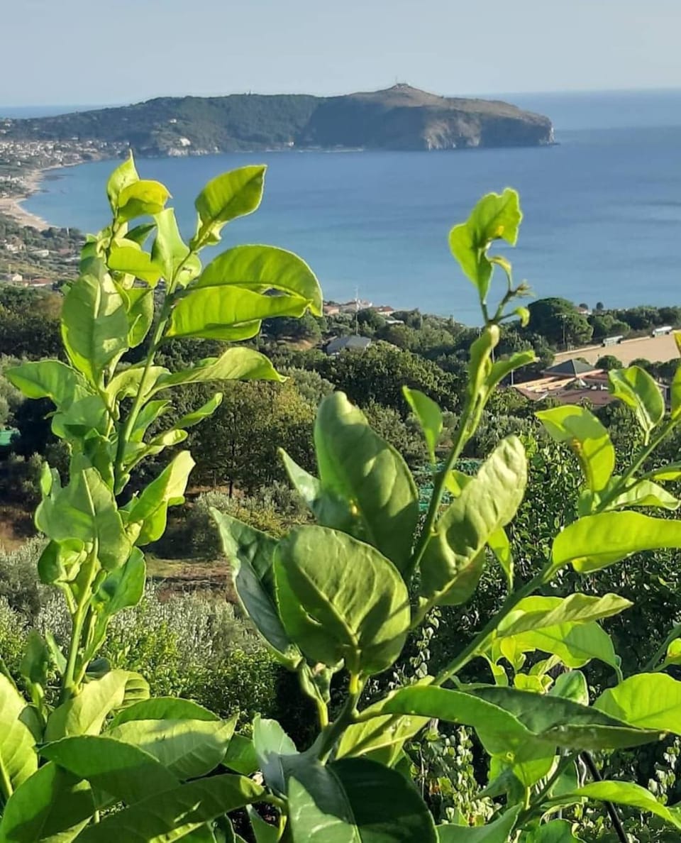 La Strettoia Bed and Breakfast in Campania