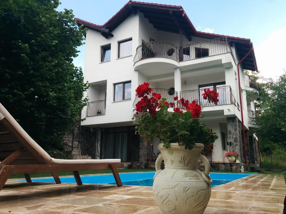 Garden, Swimming pool
