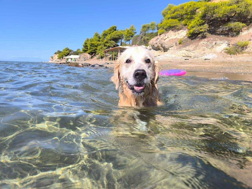 seahouse with view Apartment in Halkidiki