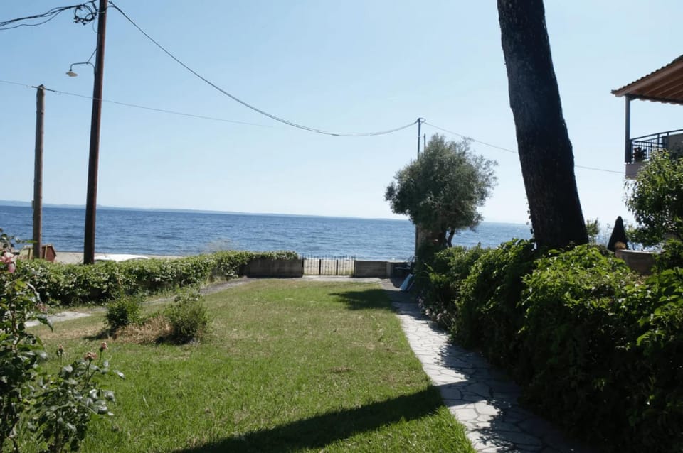 Spring, Day, Garden, Garden view