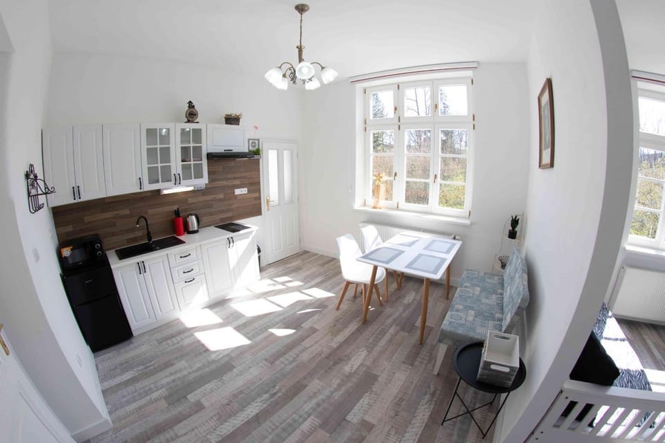 Kitchen or kitchenette, Dining area