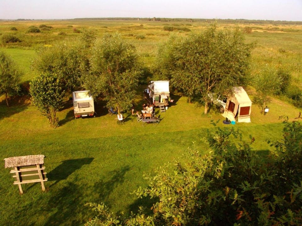 View (from property/room), River view