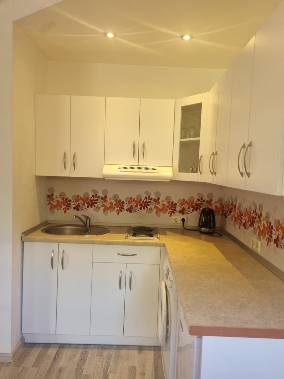 Kitchen or kitchenette, washing machine
