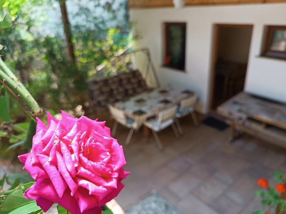 Dóra Apartman Apartment in Balatonszárszó