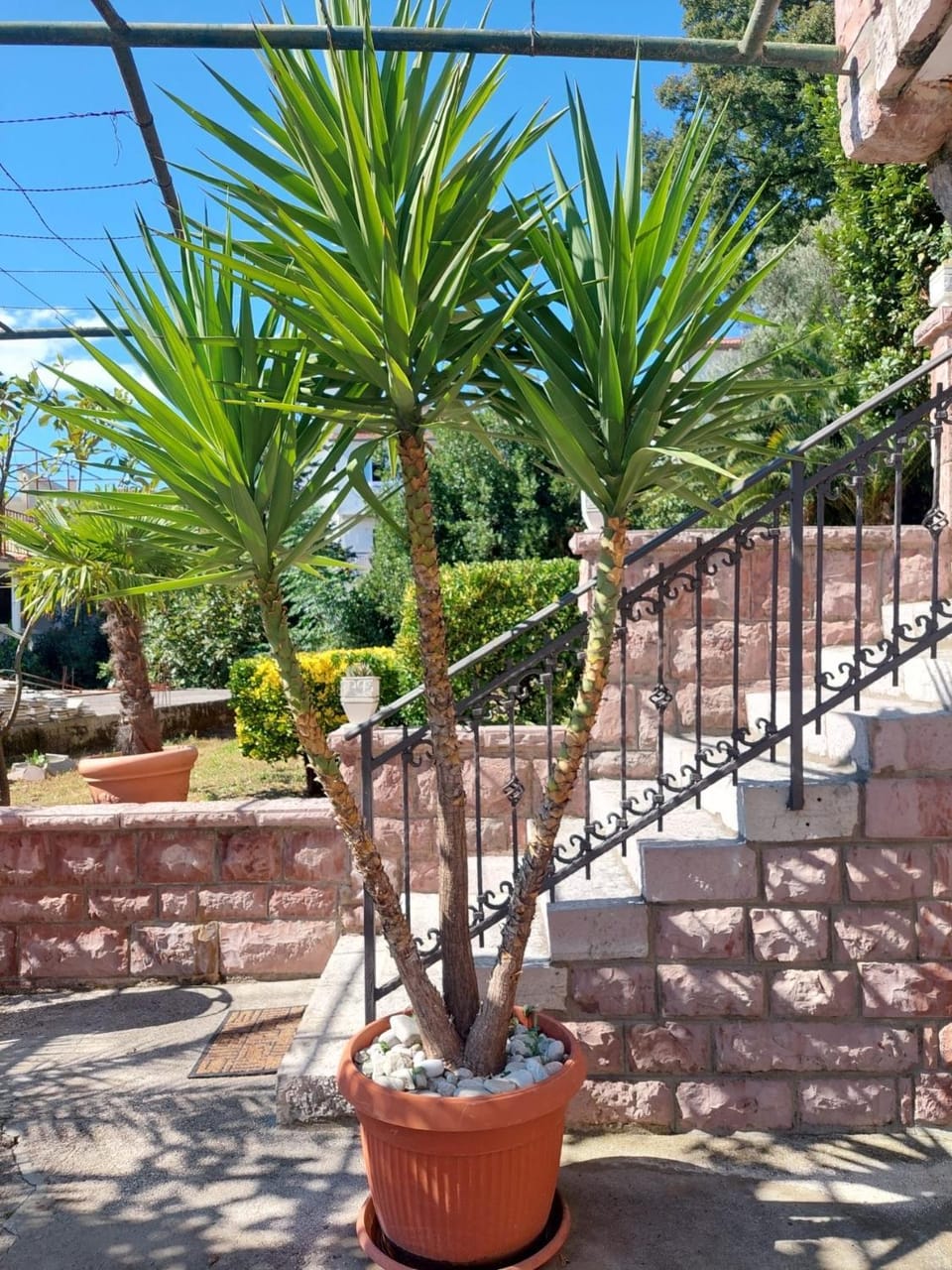 Day, Garden