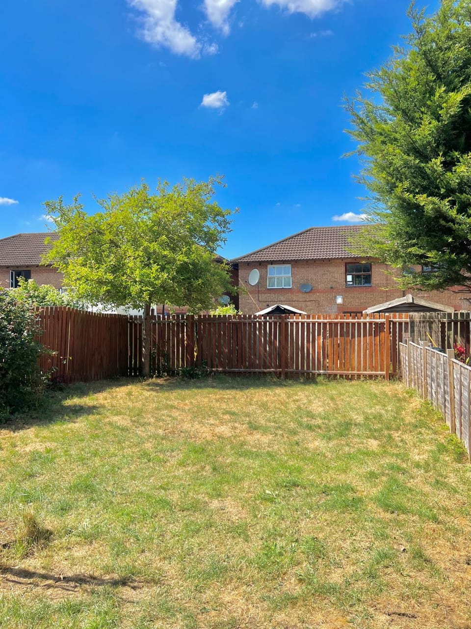 Garden, Garden, Garden view