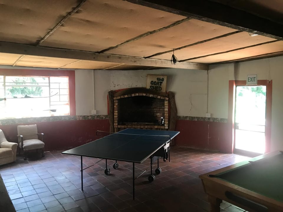Game Room, Table tennis