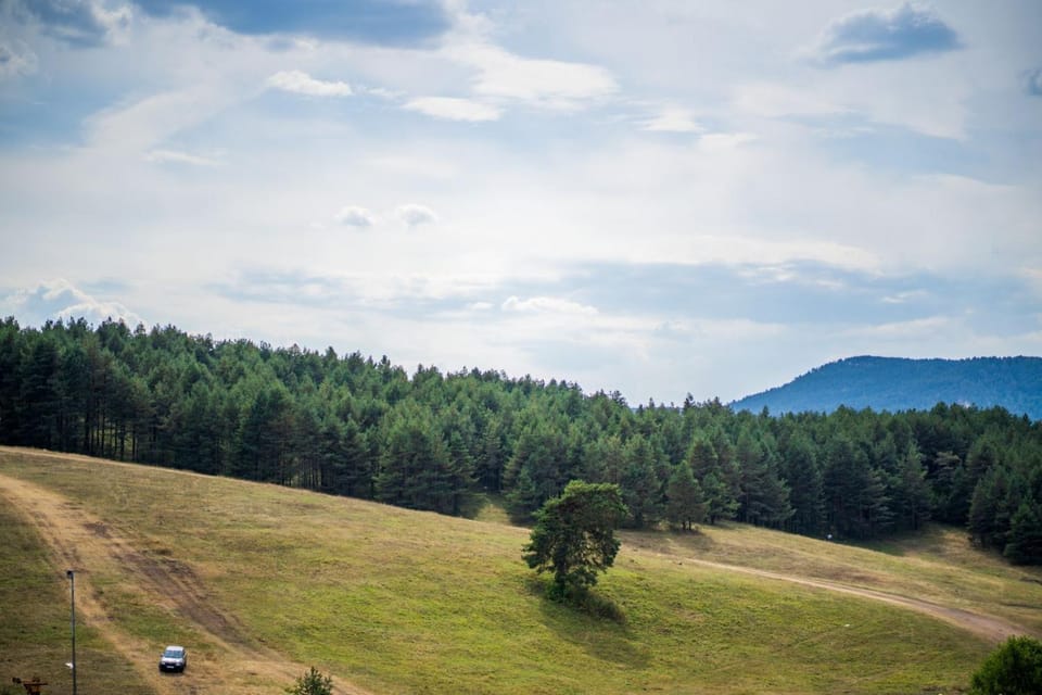 Mountain view