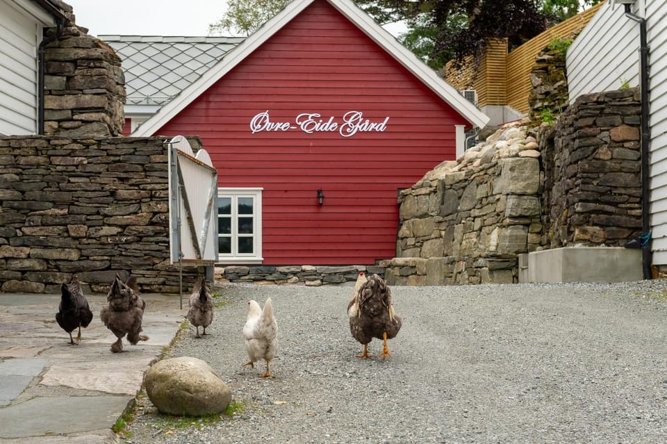 Neighbourhood, Animals