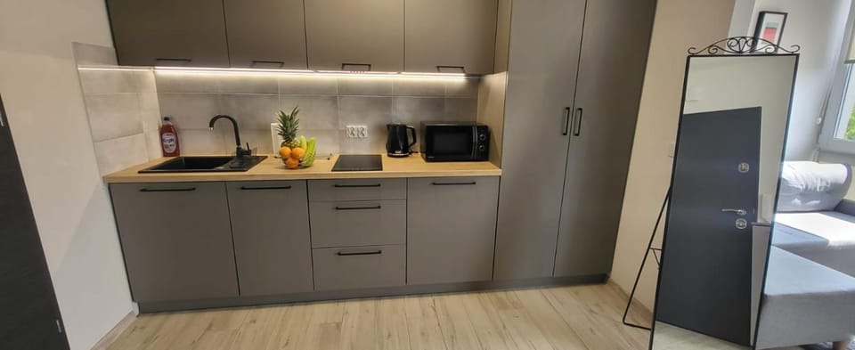 Centrum Prusa STUDIO 210 Apartment in Masovian Voivodeship