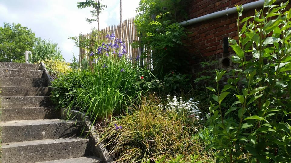 Garden, Garden view
