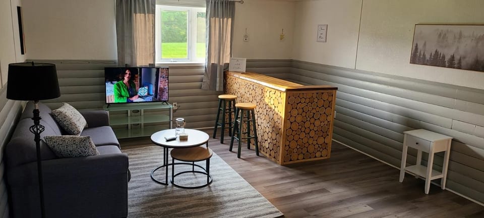 TV and multimedia, Living room, Seating area, Evening entertainment