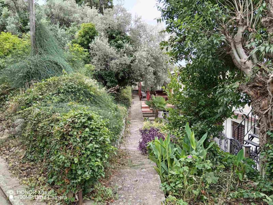 Apartmani Gina Bed and Breakfast in Montenegro