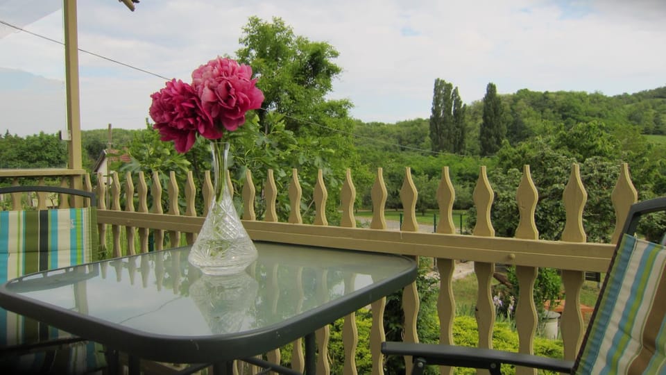 Csaford Lodge Private Eco Retreat in Authentic Hungary House in Hungary
