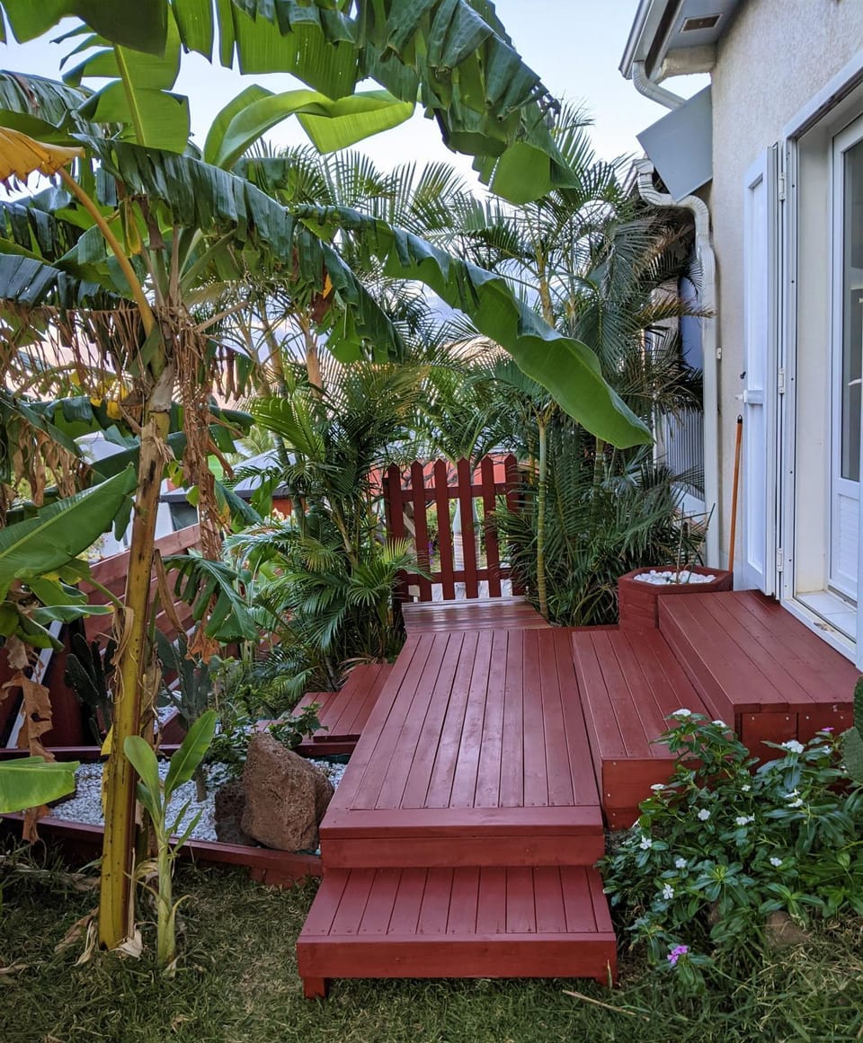 Garden view