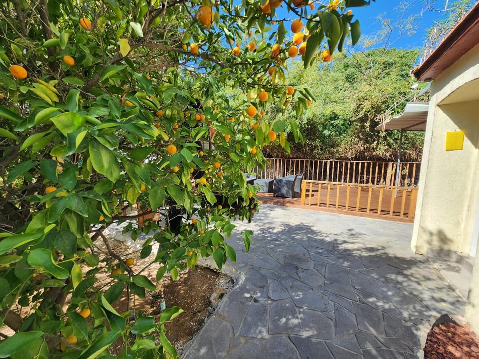 בית מקסים בלב העיר House in Tel Aviv-Yafo