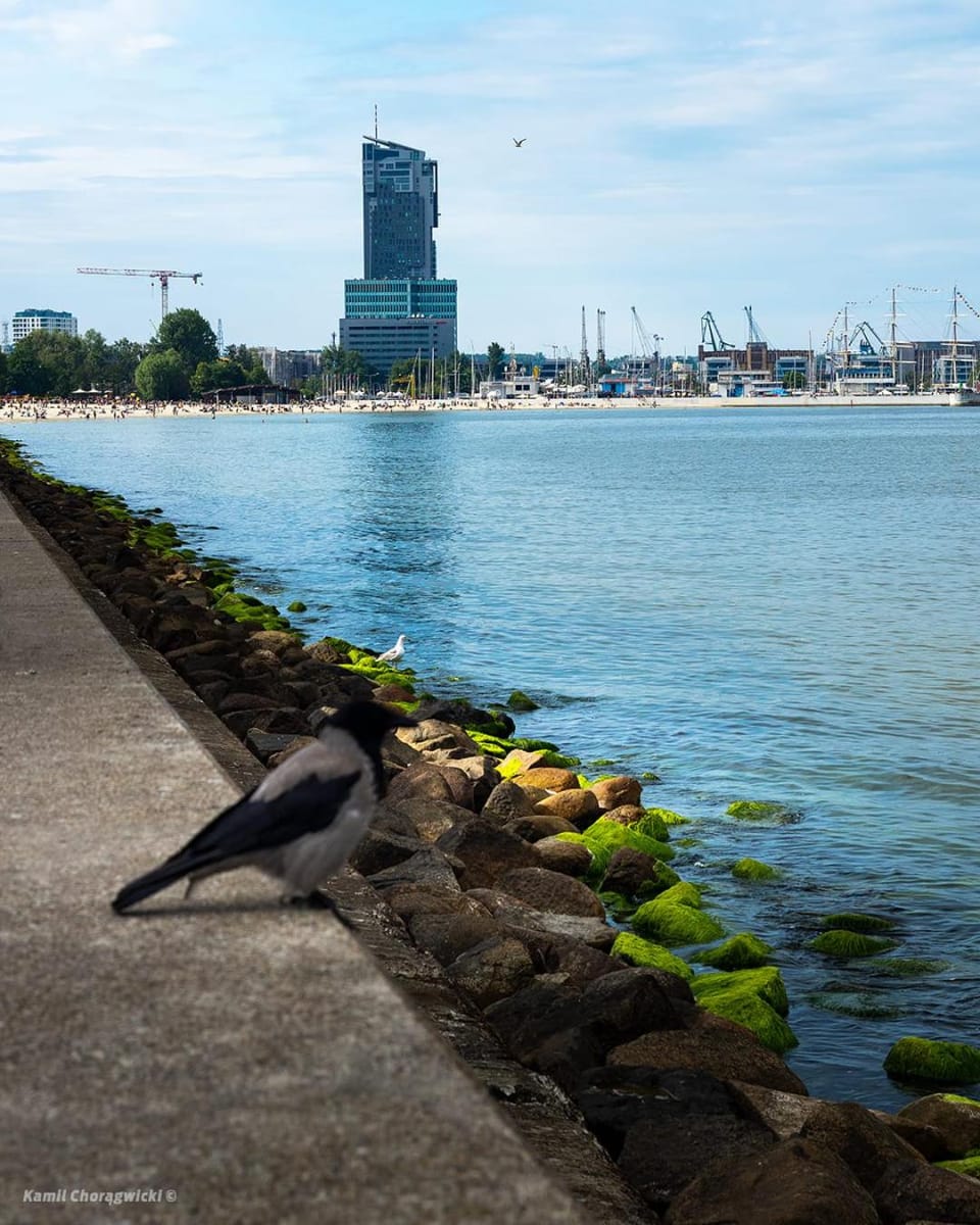 Nearby landmark, Day, City view