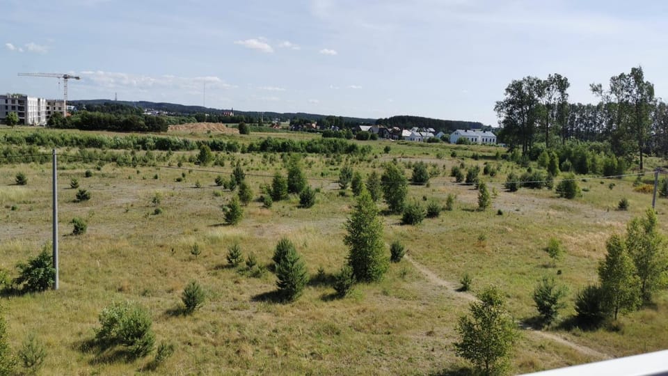 Spring, Day, Natural landscape, Summer