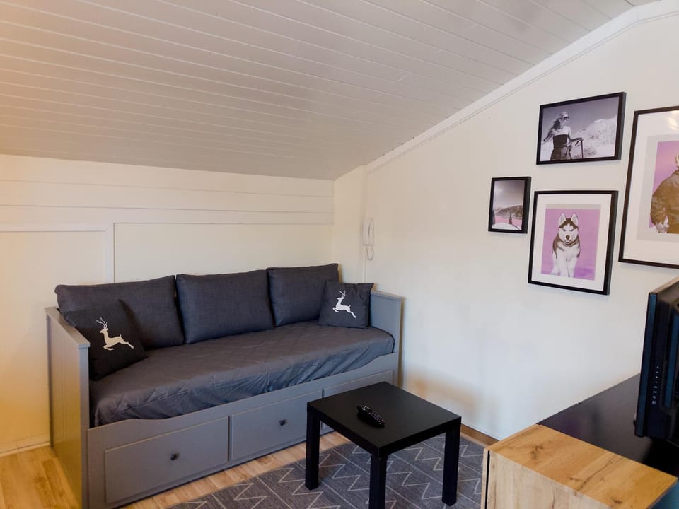 Apartment AlpZloft Apartment in Zell am See