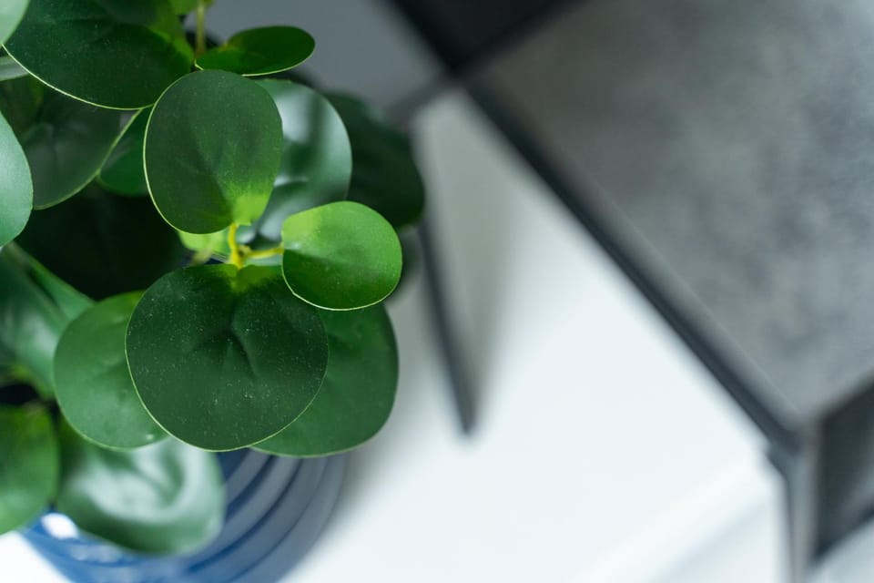 Nadmorski Apartament z dostępem do basenu, sauny, jacuzzi i ogródkiem przy plaży 114 Rezydencja Niechorze Apartment in West Pomeranian Voivodeship, Poland