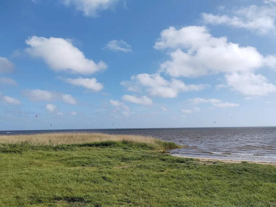 Lake view