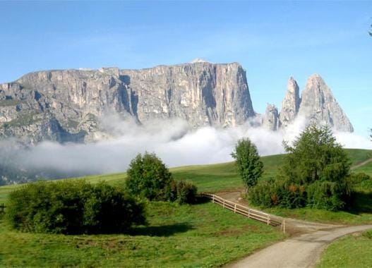 Mountain view