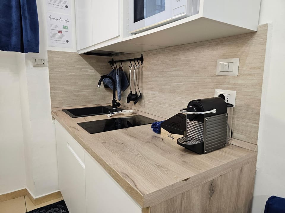Kitchen or kitchenette, minibar, stove