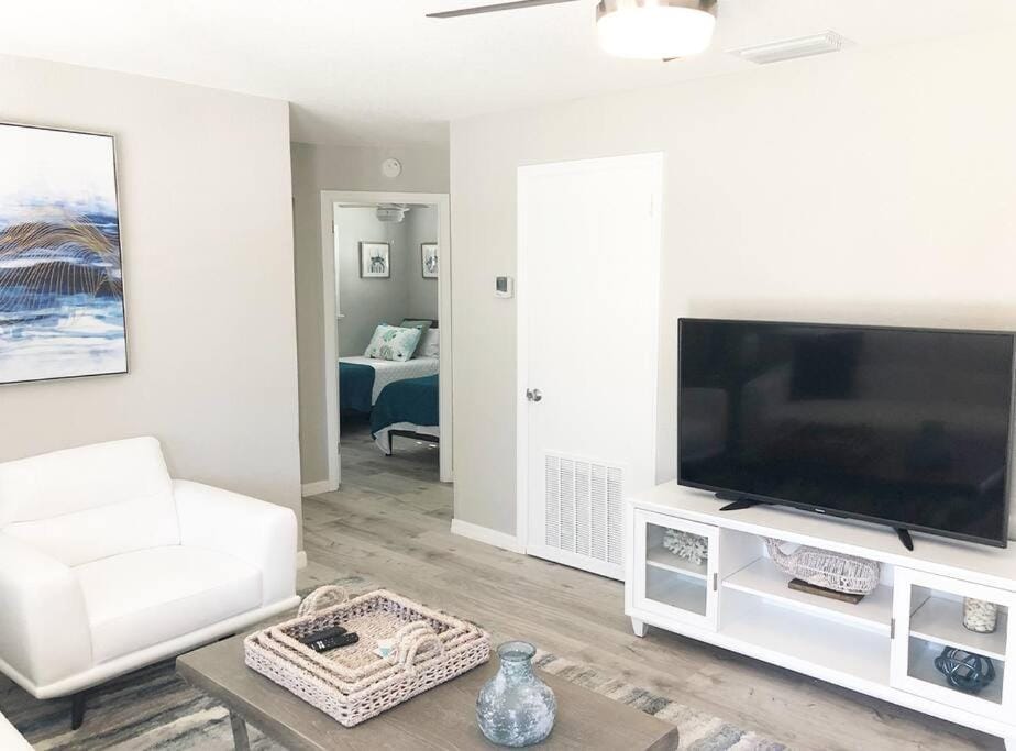 Modern Apartment - 2 of 4 Apartment in Punta Gorda