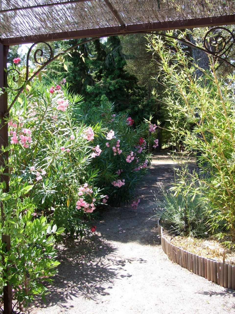 Garden, Garden view