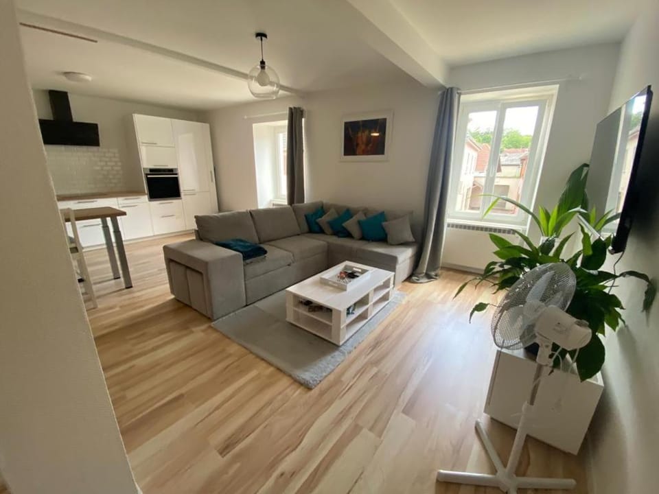 Appartement centre ville Rixheim Apartment in Switzerland