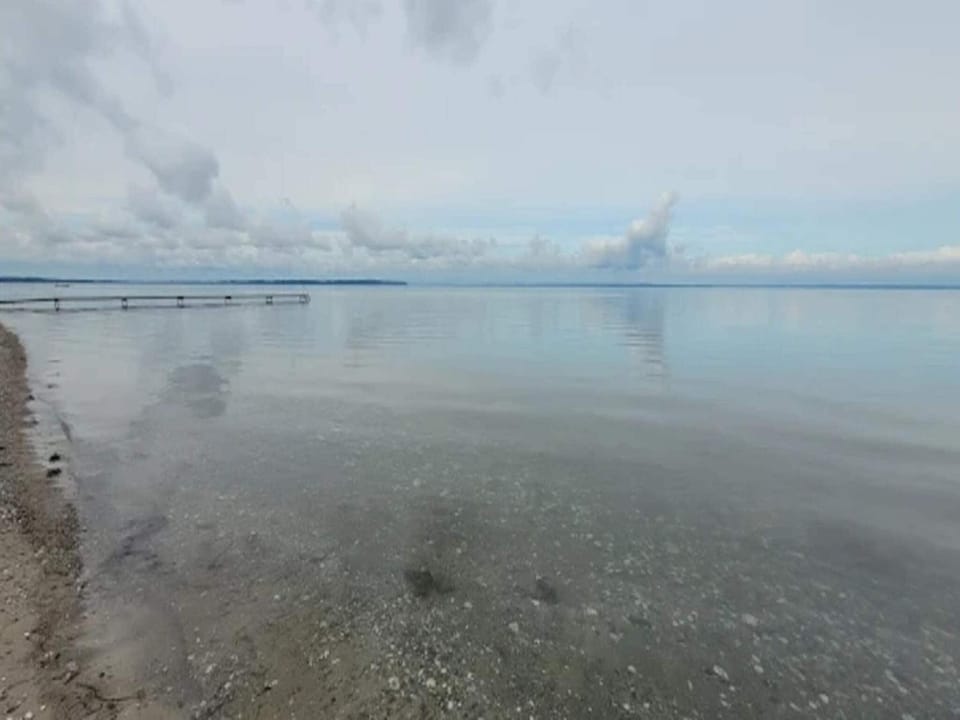 Lake view