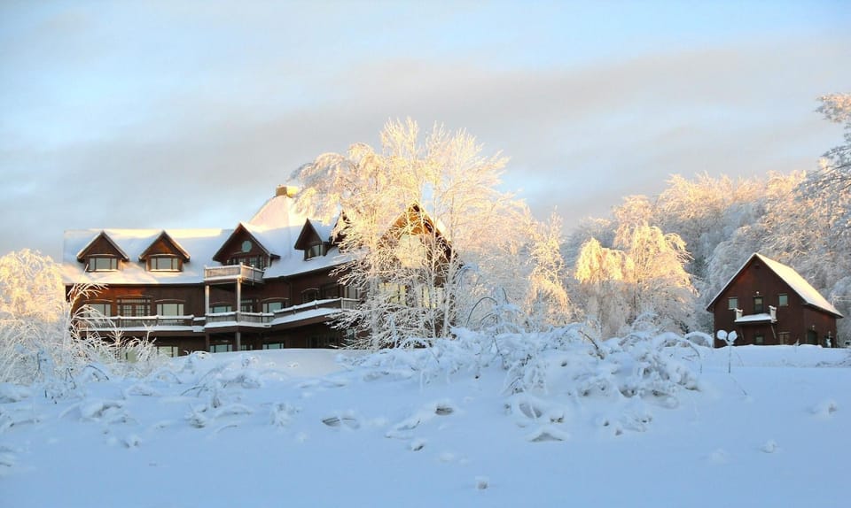 Winter