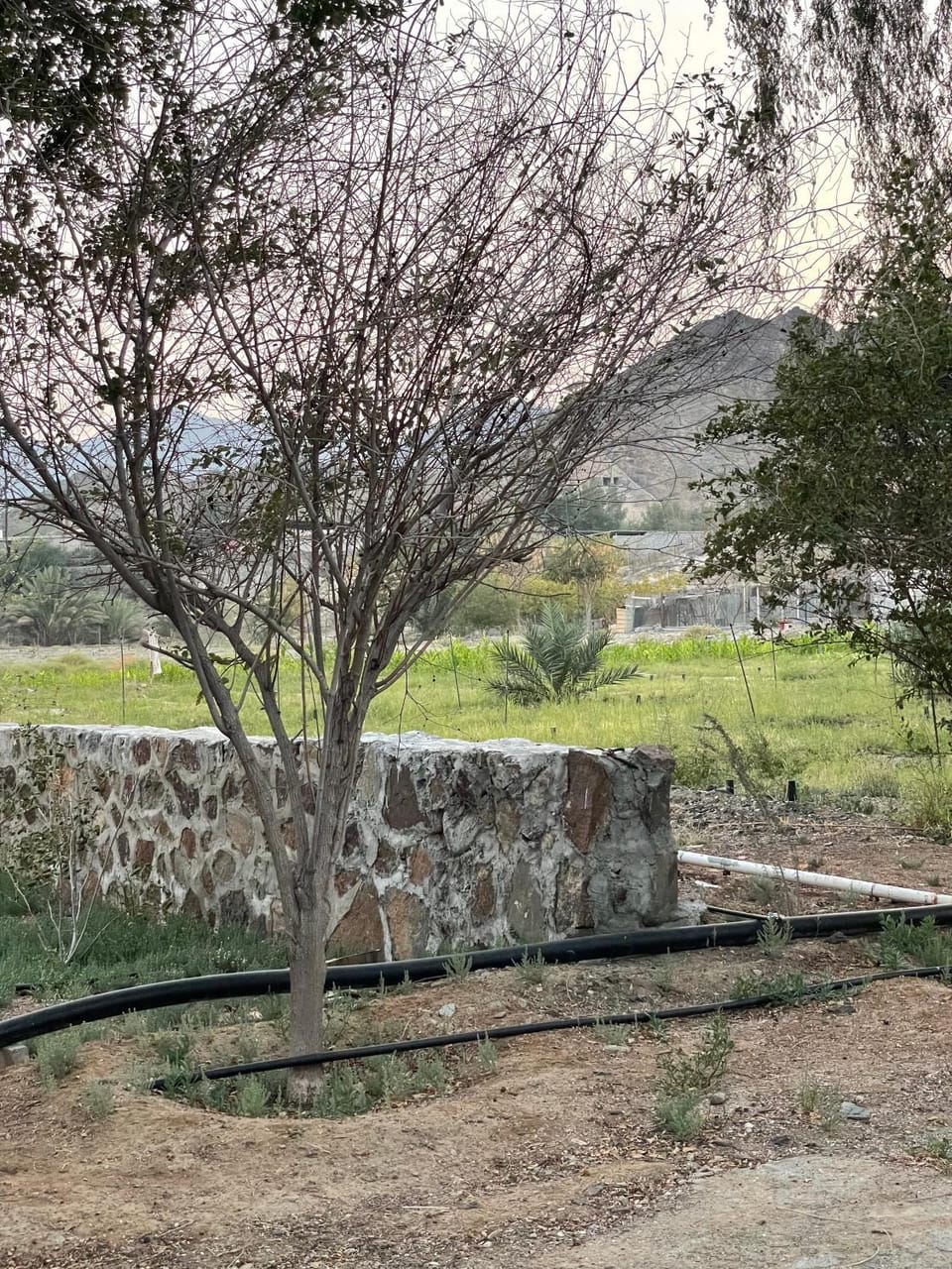 Wadi Alsidra House in Ras al Khaimah