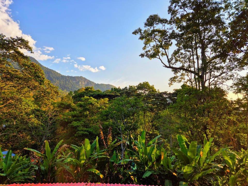 Mountain view