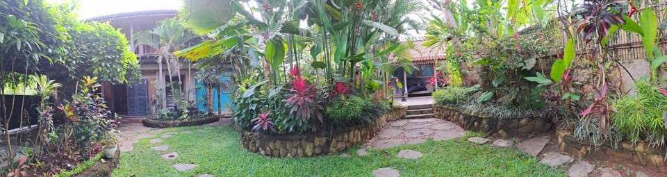 Day, Natural landscape, Garden, Garden view