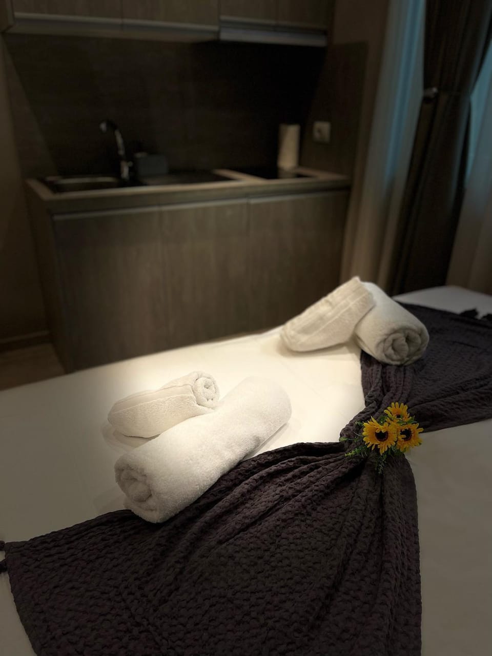 Alb Studio Apartments - Easy Access to City Center Bed and Breakfast in Tirana
