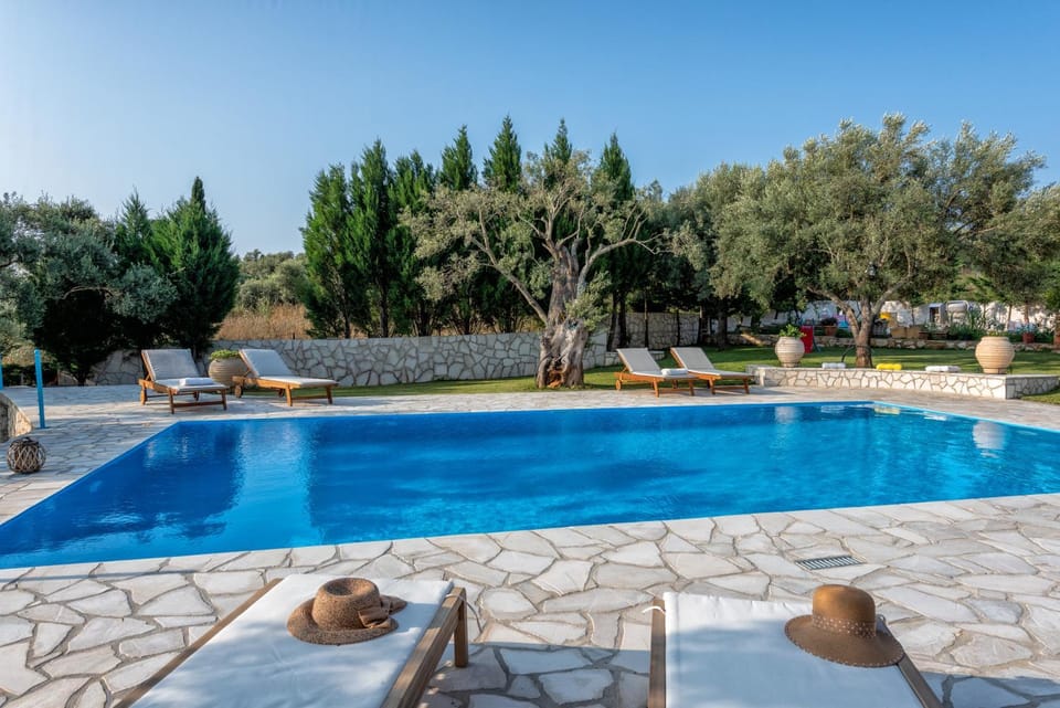 Garden, Garden view, Pool view, Swimming pool, sunbed
